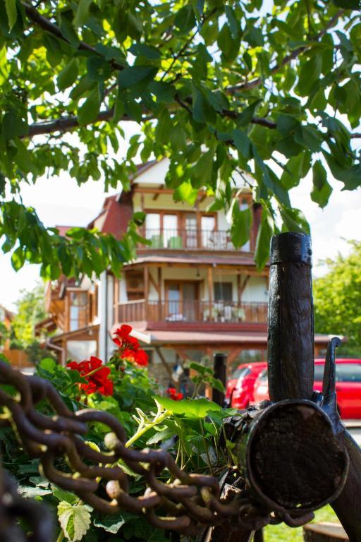 Kaktusz Villa Hévíz Buitenkant foto